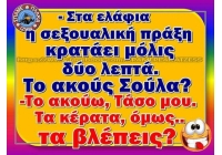 Î¤Î¿ ÏƒÎµÎ¾ ÎºÎ±Î¹ Ï„Î± ÎºÎµÏÎ±Ï„Î±