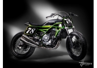 Kawasakiâ€™s Z650 gets a Flat Track makeover