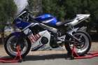 Yamaha R6  Fiat edition 3