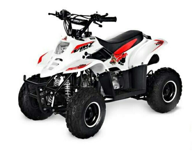 QUAD BIG FOOT  110CC