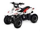 QUAD BIG FOOT  110CC