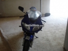 SUZUKI sv1000s year 2003 4