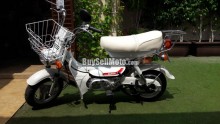 SUZUKI FM50 1981 1