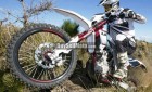 AJP PR 4 240 2016 3