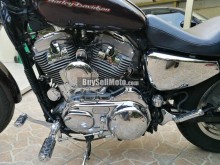 HARLEY-DAVIDSON Sportster 2006 4