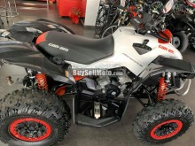 BRP RENEGADE 2018 1