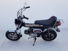 HONDA DAX 1979 1