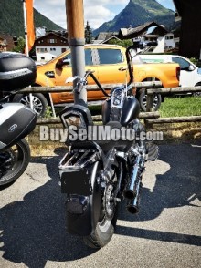 HARLEY-DAVIDSON 2001
